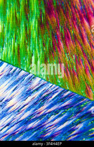 Polarised light micrograph of vitamin C (ascorbic acid) crystals. Magnification: x400 when printed at 10 cm. Stock Photo