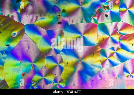Polarised light micrograph of vitamin C (ascorbic acid) crystals. Magnification: x400 when printed at 10 cm. Stock Photo