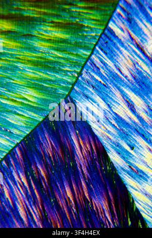 Polarised light micrograph of vitamin C (ascorbic acid) crystals. Magnification: x400 when printed at 10 cm. Stock Photo