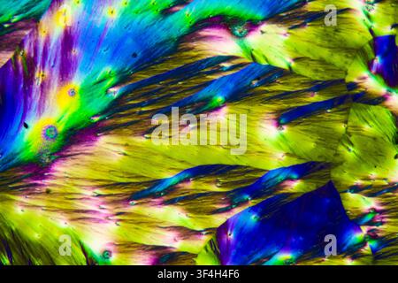 Polarised light micrograph of vitamin C (ascorbic acid) crystals. Magnification: x400 when printed at 10 cm. Stock Photo