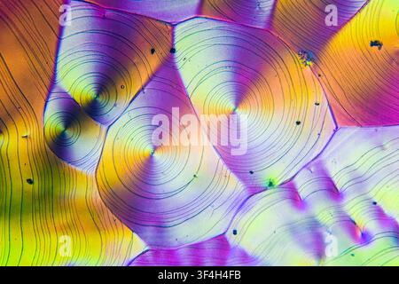 Polarised light micrograph of vitamin C (ascorbic acid) crystals. Magnification: x400 when printed at 10 cm. Stock Photo
