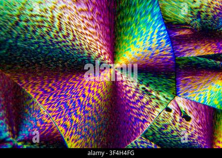 Polarised light micrograph of vitamin C (ascorbic acid) crystals. Magnification: x400 when printed at 10 cm. Stock Photo