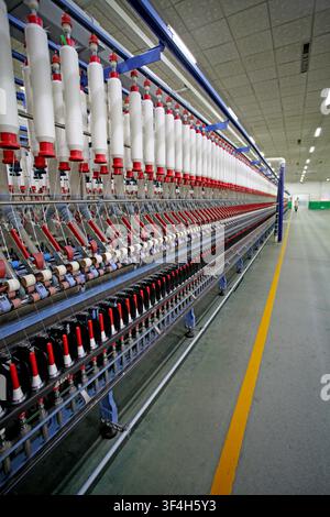 This is a close-up shot of a spinning frame in a modern textile factory, featuring densely arranged white yarn spindles standing vertically. Paired wi Stock Photo