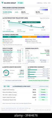 Professional vector dashboard displaying environmental, social, and governance data with clean charts and infographics. Stock Vector