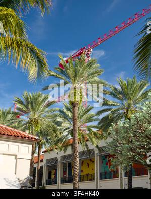 Construction Crane Rising Above Palm Tree Lined Street Stock Photo