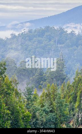 Low cloud, fog and mist lying in forested valleys below mountain peaks of Mount Field national park on a cold morning at Styx, Tasmania, Australia Stock Photo