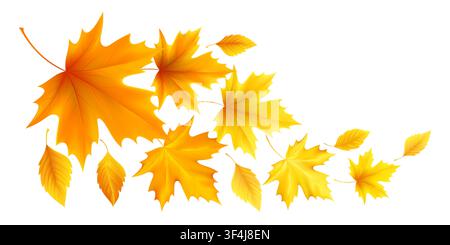 Set of golden autumn leaves vector elements on white background. Large and small maple leaves with orange shading, curved stems, and seasonal fall Stock Vector
