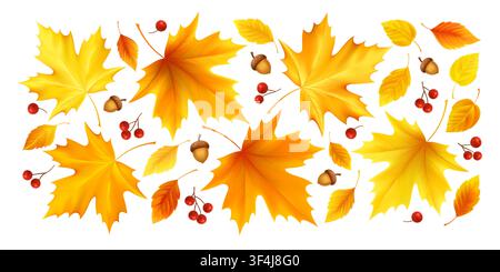 Fall leaf set vector on white background with maple leaves, small foliage, red berries, and acorns. Warm yellow and orange autumn elements create a Stock Vector