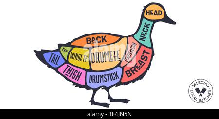 Duck, poultry, hand-drawn butcher cuts Stock Vector