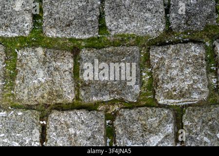 Wet granite cobblestone texture background covered with flowing water and green algae Stock Photo