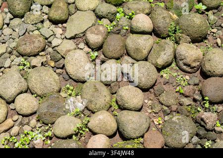 Close up view of river stone textures. Large and small river stones resting on ground covered with moss and small patches of grass. Stock Photo
