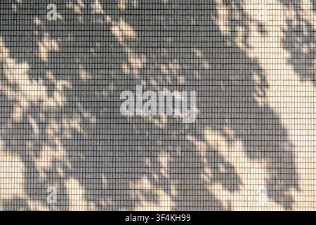 Dappled Sunlight Shadows On A Tiled Wall Creating An Abstract Pattern Stock Photo
