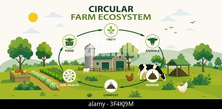 Flat vector infographic showing circular farm ecosystem cycle, grow, food, soil health, compost, manure, animals connected by arrows, barn, cow, chick Stock Vector