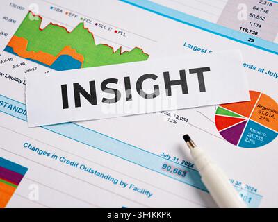 Insight word resting on financial documents showing various charts, graphs, and numerical data for business analysis and planning Stock Photo