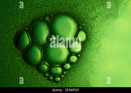 Green soap bubbles creating a network of cells and a textured clean foam surface Stock Photo
