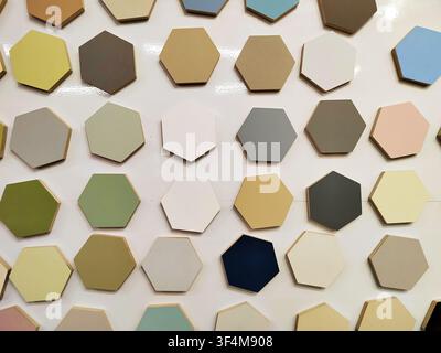 Hexagonal color samples line a glossy white display in neat rows, photographed straight on in soft indoor light. The palette supports interior Stock Photo