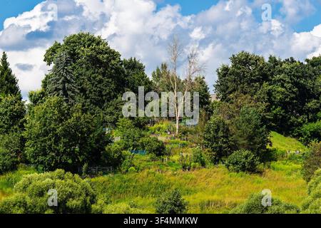Old rural graveyard tucked away on a green grassy hillside surrounded by lush summer trees and dense overgrown foliage under a vibrant blue sky with f Stock Photo