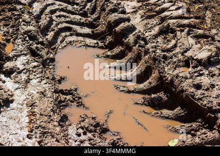 Deep tire tracks imprinted in thick wet brown mud forming a murky water puddle on a rural dirt road after heavy rain creating a textured off-road trai Stock Photo