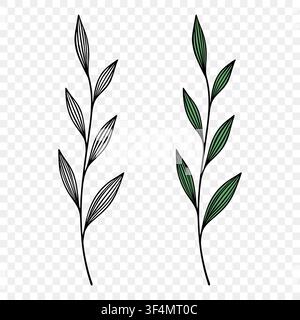 Botanical Hand Drawn Leaf Branch, Vector Illustration. Botanical Green Leaf with Outline. Branch Illustration with Three Stems and Leaves Isolated Stock Vector