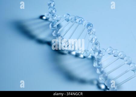 Dna double helix model representing genetic science and research Stock Photo