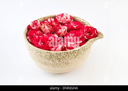 Ceramic bowl filling with vibrant red and white roses Stock Photo