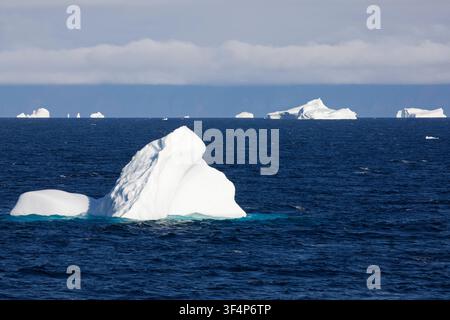 Icebergs floating in Uummannaq Fjord along the west coast of Greenland. Stratus clouds form a layer above the ocean surface. Stock Photo