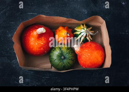Colorful ornamental pumpkins inside a paper bag on a dark background viewed from above. Thanksgiving concept. Stock Photo