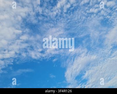 Bright blue sky filled with white cirrocumulus clouds. A clean, natural background for outdoor and weather concepts. Stock Photo