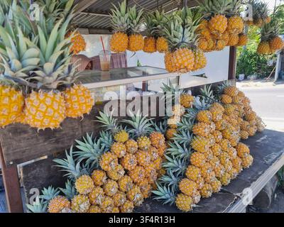 Vibrant display of small ripe pineapples hanging and stacked at an outdoor street market. The scene captures fresh tropical harvest ready for sale. Stock Photo