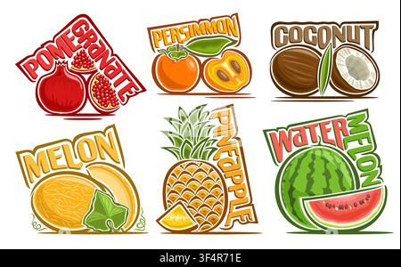 Vector Fruit Set, collection of 6 isolated compositions of juicy exotic fruits with colorful text for package, group of cartoon whole and parts differ Stock Vector