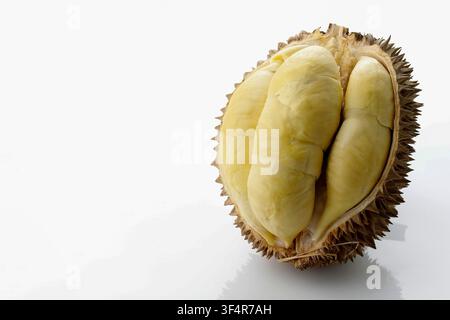 Ripe Durian King of Fruit Cut in Half  Isolated on White Background. Stock Photo