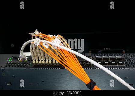 Fiber optic cables connected to a network switch in a data center showing high speed communication infrastructure organized cabling reliable connectiv Stock Photo