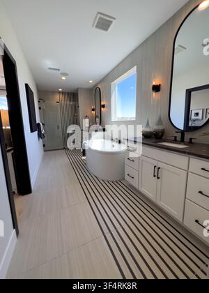Luxury Bathroom Interior with Floating Vanity Stock Photo