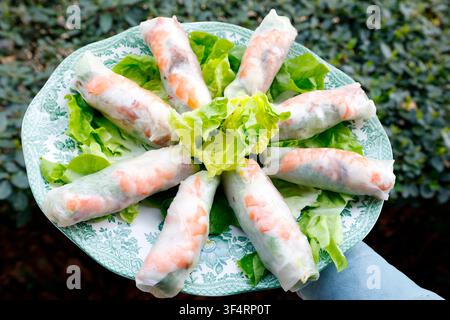 Fresh Vietnamese spring rolls stuffed with shrimp, arranged in a fan shape on a plate. Stock Photo