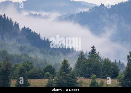 White mist slides through layered forested ridges in a quiet mountain valley The cool tones and soft shapes create a tranquil panoramic view of untame Stock Photo