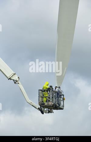 Esbjerg, Syddanmark, Denmark - 24 July 2026: View of crew performing maintenance on a wind turbine blade using a high-reaching cherry picker against a Stock Photo