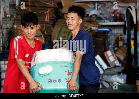 Two young men are working together to carry a cardboard box in a warehouse. Hoa Lu, Vietnam. Stock Photo