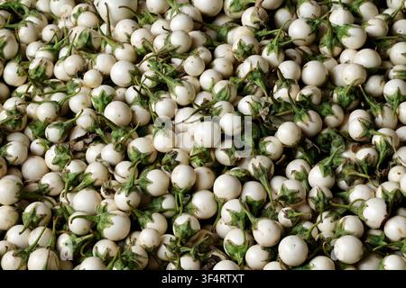 A large quantity of white eggplants is on display, ready to be used in cooking. These fresh vegetables are a versatile ingredient in many dishes. Hoa Stock Photo