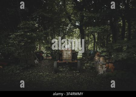 View of an old, weathered tractor parked in a dense, shaded forest with a stack of bricks nearby in Madise, Harju County, Estonia. Stock Photo