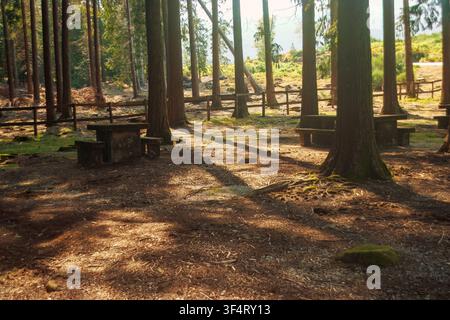 Rustic stone picnic tables inside Serradela park in Portugal with long golden sunlight shadows filtering through high trees. Stock Photo