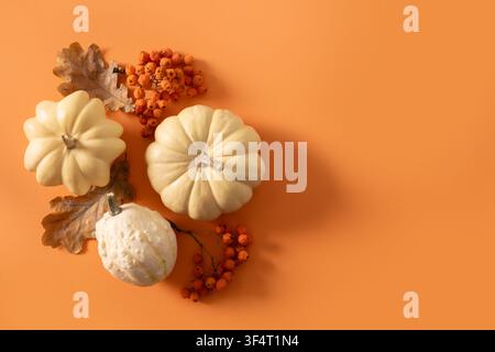 Autumn decorative pumpkins, berries and colorful fall leaves on orange background. Copy space for seasonal advertising. View from above. Banner. Stock Photo