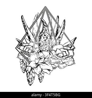 Echeveria, sansevieria snake plant and trailing sedum succulents in suspended wire planter mobile, diamond shape. Clean vector hand drawn in ink Stock Vector