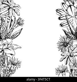 Plump leaf succulent rosettes, simple daisy blooms illustrated in refined hand drawn vector ink. Seamless repeating banner. Interior concept boards Stock Vector