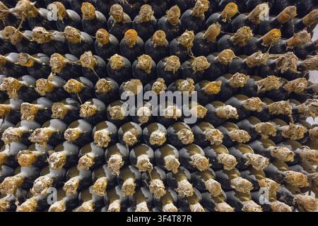 Close-up of stacks of wine bottles with corks showing symmetry and textures in an old cellar, wine cellar, Milestii Mici Winery, Milestii Mici, Repub Stock Photo