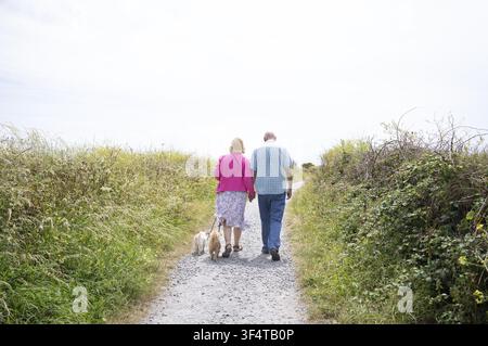 Elderly couple, holding hands with two dogs, walking together, walking, from behind, Lizard Point, Lizard Bay, Polpeor, Cornwall, England, Great Brita Stock Photo