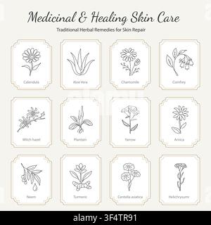 Medicinal and Healing Skin Care Herbal Remedies Line Art Icons Stock Vector