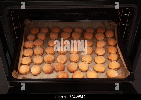 Freshly baked golden homemade cookies or scones on parchment paper inside hot oven close up Stock Photo
