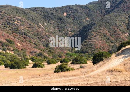 Sunlit hills roll under clear blue skies. Dry earth and scattered shrubs dot the valley floor. Lone path winds through the arid landscape. Vibrant gre Stock Photo