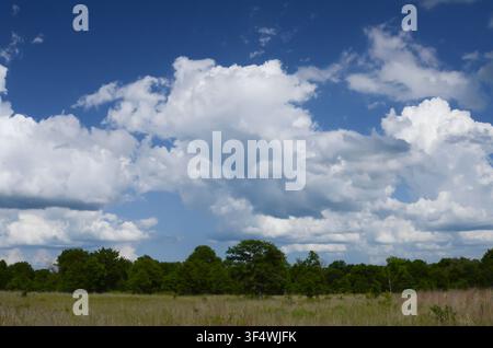 Cumulus Clouds over central Oklahoma cross timbers Stock Photo