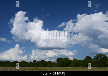 Cumulus Clouds over central Oklahoma cross timbers Stock Photo